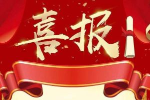 关于2022年度人力资源服务评选结果的通报，祝贺问鼎官方网站/app/ios/安卓/在线/注册集团