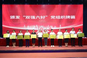 喜报！问鼎官方网站/app/ios/安卓/在线/注册集团党支部荣获广州市非公有制经济组织“双强六好”党